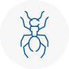 Ant Removals In Northwood