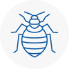 Bed Bug Extermination In Northwood
