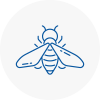 Bee Nest Removal Northwood