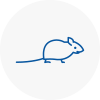 Mice Exterminators In Northwood