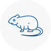 Rat Control Northwood