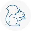 Northwood Rodent Removals