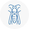 Northwood Wasp Nest Removal